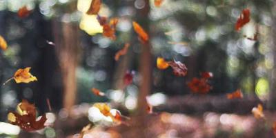 实验室位置地图